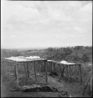 Belgisch-Kongo, Thysville (Mbanza Ngungu): Alltagsszene; Eingeweichtes Maniok in Kugelform lagert auf einer erhöhten Ablage aus Holz auf einer Anhöhe