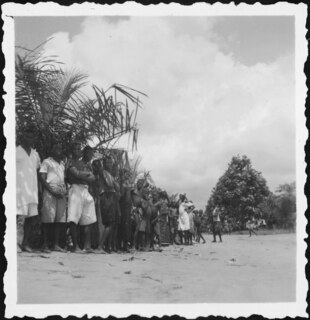 Belgisch-Kongo, Molanda (Malanda): Menschen (Lokalisierung unsicher); Mehrere Menschen stehen aufgereiht am Schatten unter hohen Sträuchern