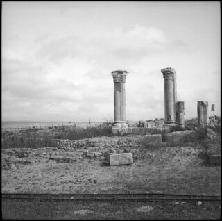 Französisch-Marokko, Volubilis: Ruinen; Säulenreste der Ruinen von Volubilis