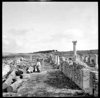 Französisch-Marokko, Volubilis: Ruinen; Mauer- und Säulenreste von römischen Wohnhäusern (?)