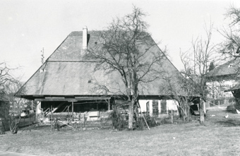 Greppen