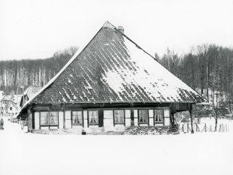 Greppen