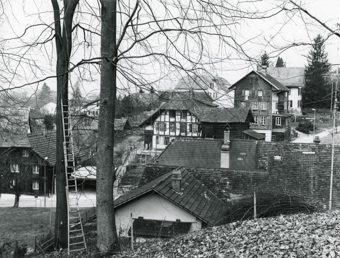 Greppen