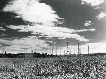 Bettenhölzli, Waldhofgebiet, Profil-Stangen für Elzmatt-Schulhaus, gehört zu Dossier: Schulen, Schulhäuser