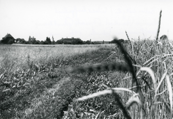Bettenhölzli, Waldhofgebiet, heutiger Standord von Elzmatt-Schulhaus, Eröffnung Schulhaus 1970 und 1971, gehört zu Dossier: Schulen, Schulhäuser