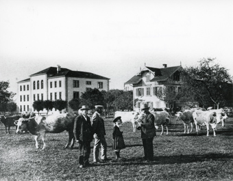 Kreuzfeld-Schulhaus