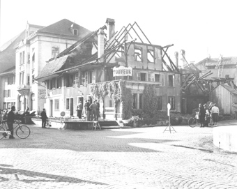 Brand Kaffeebaum