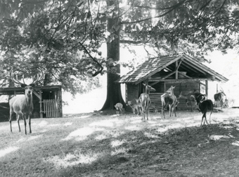 Tierpark Hinterberg