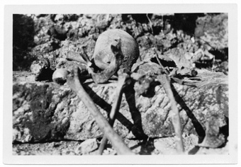 Überreste von toten Soldaten beim Schlachtfeld von Verdun