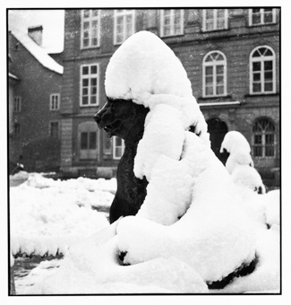 Bären des von-Erlach-Denkmals im Winterkleid