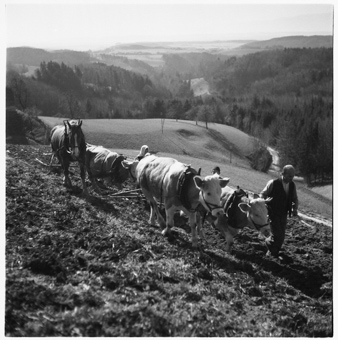 Pflügen am Hang
