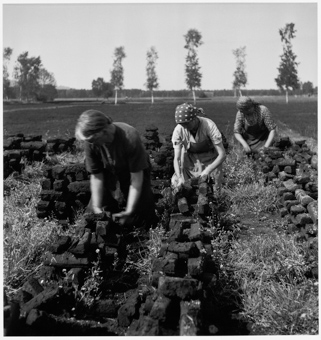 Drei Frauen bei der Arbeit auf dem Torf-Feld im Berner Seeland
