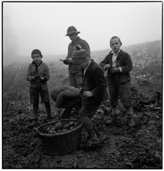 Heimkinder des Knabenerziehungsheims Oberbipp bei der Arbeit auf dem Feld