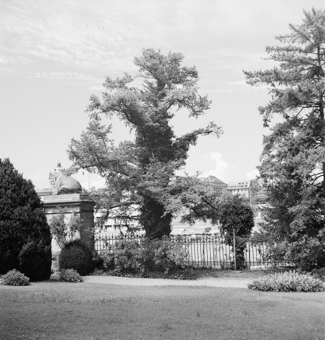 Garten des Historischen Museums, Bern