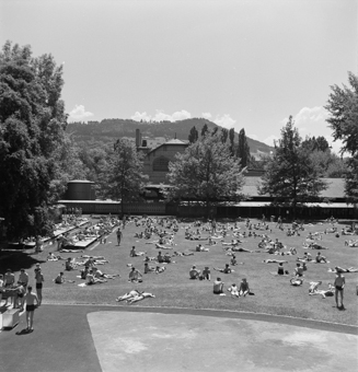 Liegewiese im Marzilibad Bern