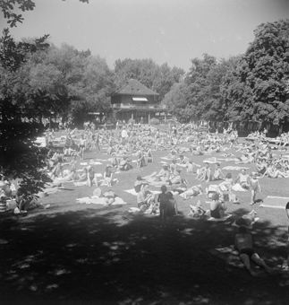 Liegewiese im Marzilibad, Bern