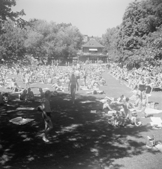 Liegewiese im Marzilibad, Bern