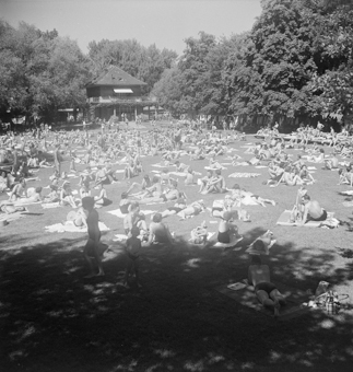 Liegewiese im Marzilibad, Bern