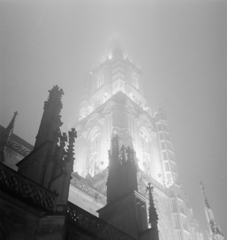 Berner Münster in der Nacht