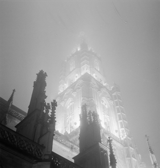 Berner Münster in der Nacht