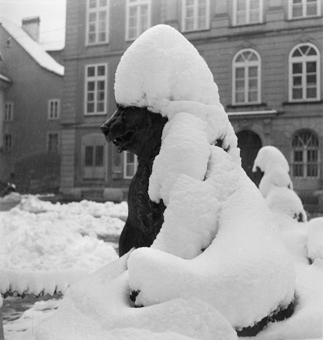 Bären im Winterkleid, Münsterplatz Bern