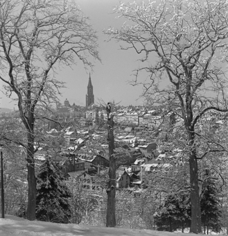 Blick vom Muristalden auf die verschneite Altstadt, Bern