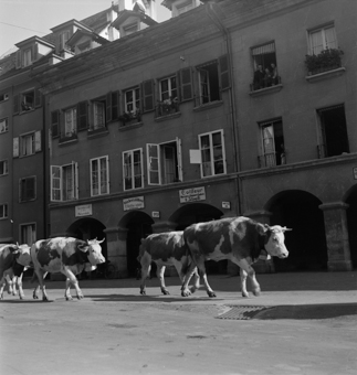 Alpaufzug durch die Gerberngasse, Bern