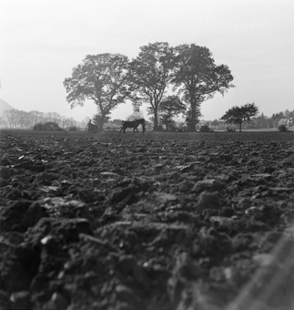 Zwei Bauern mit Pferd Wagen auf dem Feld. Im Hintergrund vermutlich südlicher Stadtrand von Bern 