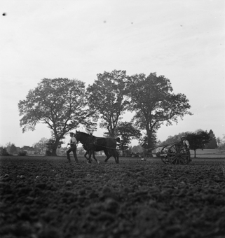 Zwei Bauern mit Pferden und Wagen, Arbeitskleidung und Peitsche. Im Hintergrund ein vermutlich südlicher Stadtrand von Bern 