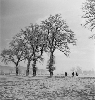 Feld im Winter, verschneite Bäume, Kinder auf Feldweg, im Hintergrund ein Dorf  