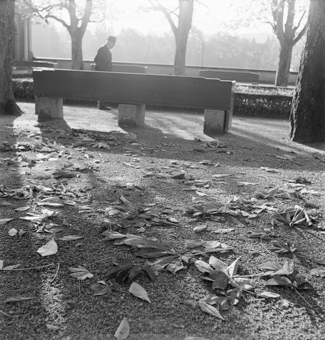 Spaziergänger, Sitzbänke, heruntergefallene Kastanienblätter