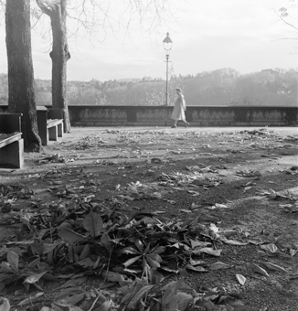 Spaziergängerin, Sitzbänke, Kandelaber, heruntergefallene Kastanienblätter