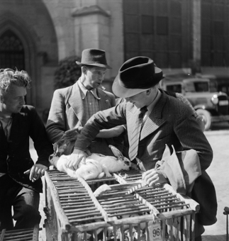 Marktleute am Kaninchenmarkt an der Kesslergasse, Kunde mit Hut und Krawatte. Kaninchen und Holzkäfig. Im Hintergrund parkiertes Auto und die Nordfassade des Münster-Kirchenschiffes
