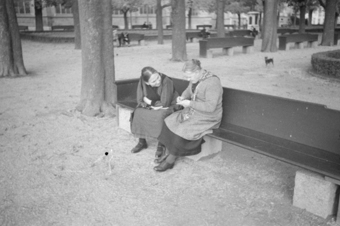 Münsterplattform mit Bäumen, Grünanlage und Sitzbänken, zwei Frauen unterhalten sich, eine Frau mit Strickzeug