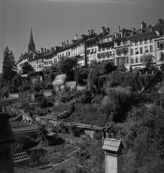  Häuser Junkerngasse mit Gärten im Sommer, Bern