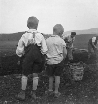 Bauern bei der Feldarbeit, zwei Buben in Hemden und kurzen Hosen schauen zu