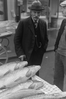 Fischmarkt auf dem Waisenhausplatz, Bern 