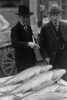 Fischmarkt auf dem Waisenhausplatz, Bern 