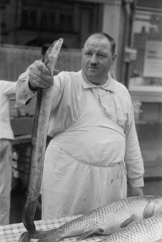 Fischmarkt auf dem Waisenhausplatz, Bern 