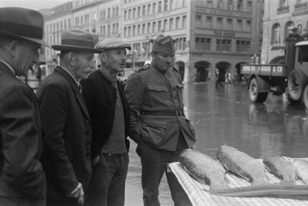 Fischmarkt auf dem Waisenhausplatz, Bern 