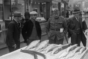 Fischmarkt auf dem Waisenhausplatz, Bern 
