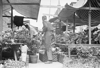 Blumenmarkt auf dem Bundesplatz, Bern