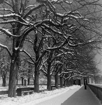Münsterplattform im Winter, Bern