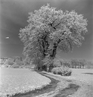 Winterliche Landschaft 