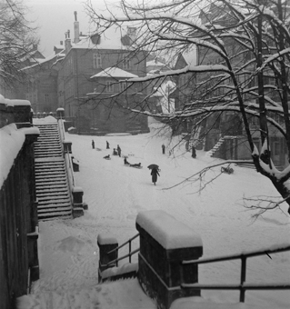 Schlitteln am Nydeggstalden, Bern