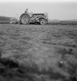 Gefangener der Strafanstalt Bellechasse bei der Feldarbeit auf einem Traktor