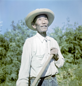 Chinesischer Landarbeiter