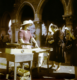 Marktstand beim Fischmarkt in Venedig