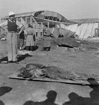 Rotkreuzfreiwilliger neben einem exhumierten Leichnam, im Hintergrund Journalisten, vorne die Schatten von Personen (vermutlich ebenfall Journalisten um Paul Senn)