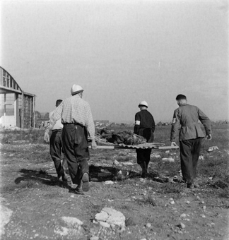 Vier Rotkreuzfreiwillige mit einem exhumierten Leichnam auf einer Wellblech-Tragebahre, im Hintergrund vermutlich Angehörige und Journalisten